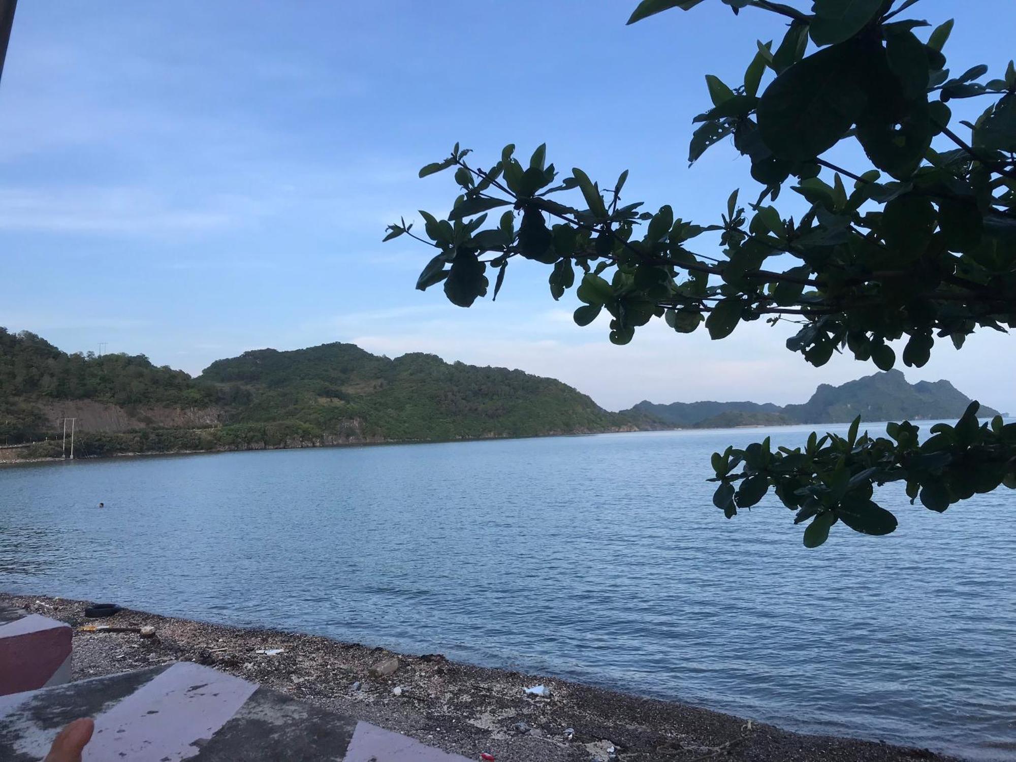 Bee Lucky Homestay Xuan Dam المظهر الخارجي الصورة