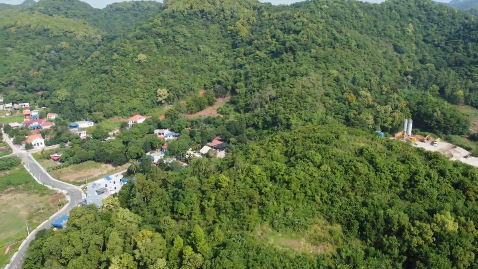 Bee Lucky Homestay Xuan Dam المظهر الخارجي الصورة